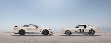 Heritage Edition Package